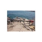 Diverman Diablo Zıpkın (Açık Kafa) Çift Lastik - 95 Cm