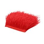 DIY el işi tüyleri, Asudaro 2 m buket, tüy saçaklı, 10 cm – 15 cm, doğal tüylü hindi tüyü, kıyafet, küpeler, rüya avcısı, şapkalar için, tip 3