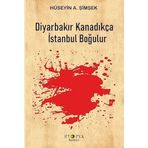 Diyarbakır Kanadıkça İstanbul Boğulur