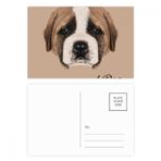 Dıythinker 14x9 cm 20 Adet Renkli Kahverengi Sevimli St.Bernard Köpek Evcil Hayvan Kartpostal Seti