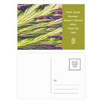 Dıythinker 14x9 cm 20 Adet Renkli Kamış Kümesi Tüy Renkli Duvar Kağıdı Şiir Kartpostal Seti