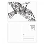 Dıythinker 14x9 cm 20 Adet Renkli Kuş Boyası Uçan Sadık Şiddetli Kartpostal Seti