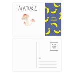 Dıythinker 14x9 cm 20 Adet Renkli Mantar Bitki Soloisland Tablo Muz Kartpostal Seti