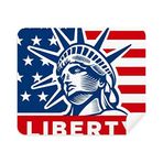 Dıythinker 2 Adet Süet Kumaş Amerika Bayrağı Özgürlük Heykeli Desenli Telefon Ekran Temizleyici ve Gözlük Temizleme Bezi