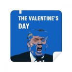 Dıythinker 2 Adet Süet Kumaş Amerikan Başkanı Trump Sevgililer Günü Resim Gözlükleri Temizleme Bezi Telefon Ekran Temizleyici