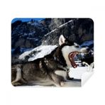 Dıythinker 2 Adet Süet Kumaş Büyük Ağızlı Köpek Kar Husky Resimli Telefon Ekran Temizleyici ve Gözlük Temizleme Bezi