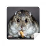 Dıythinker 2 Adet Süet Kumaş Hamster Hayvan Sıçan Evcil Hayvan Sevimli Yemek Gözlükleri Temizleme Bezi ve Telefon Ekran Temizleyici