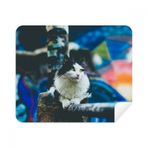 Dıythinker 2 Adet Süet Kumaş Hayvan Tembel Kedi Fotoğraf Çekimi Telefon Ekran Temizleyici ve Gözlük Temizleme Bezi