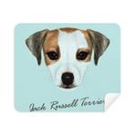 Dıythinker 2 Adet Süet Kumaş Jack Russell Terrier Köpek Hayvan Hayvan Telefon Ekran Temizleyici ve Gözlük Temizleme Bezi