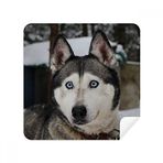 Dıythinker 2 Adet Süet Kumaş Köpek Hayvan Kar Husky Fotoğraf Gözlükleri Temizleme Bezi ve Telefon Ekran Temizleyici