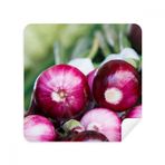 Dıythinker 2 Adet Süet Kumaş Resim Taze Sıcaklıklı Vageable Soğan Gözlükleri Temizleme Bezi ve Telefon Ekran Temizleyici