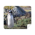 Dıythinker 2 Adet Süet Kumaş Stand Güney Penguen Spheniscidaepicture Telefon Ekran Temizleyici ve Gözlük Temizleme Bezi