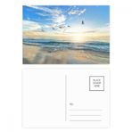 Dıythinker 20 Adet 14x9 cm Renkli Okyanus Kum Plaj Kuş Deniz Resim Kartpostal Seti