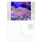 Dıythinker 20 Adet 14x9 cm Renkli Okyanus Mercan Bilim Doğa Resim Çiçek Kartpostal Seti