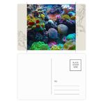 Dıythinker 20 Adet 14x9 cm Renkli Okyanus Mercan Bilimi Doğa Resim Çiçek Kartpostal Seti