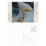 Dıythinker 20 Adet 14x9 cm Renkli Okyanus Palyaço Balık Bilim Doğa Resim Çiçek Kartpostal Seti