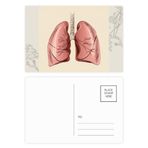 Dıythinker 20 Adet 14x9 cm Renkli Organ Akciğer İnsan İllüstrasyon Çiçek Kartpostal Seti