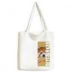 Dıythinker 33x40 Cm Erkek Kestane Vahşi Kırmızı Panda Hayvan Tote Kanvas El Çantası