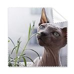 Dıythinker 5 Adet Hayvan Gri İnce Kedi Fotoğraf Gözlükleri Temizleme Bezi ve Telefon Ekran Temizleyici