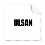 Dıythinker 5 Adet Ulsan Kore Şehir İsimli Gözlük Temizleme Bezi ve Telefon Ekran Temizleyici