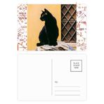 DIYthinker Animal Cool Siyah Kedi Fotoğrafı Formula Kartpostal Seti Teşekkür Kartı Gönderi Tarafı 20 adet