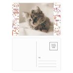 DIYthinker Animal Kitty Gri Kedi Fotoğrafı Formula Kartpostal Seti Teşekkür Kartı Gönderi Tarafı 20 adet