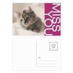 DIYthinker Animal Kitty Gri Kedi Fotoğrafı Miss Kartpostal Seti Teşekkür Kartı Gönderi Tarafı 20 adet