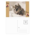 DIYthinker Animal Kitty Gri Kedi Fotoğrafı Noel Baba Hediye Kartpostal Teşekkür Kartı Gönderi 20 adet