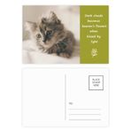 DIYthinker Animal Kitty Gri Kedi Fotoğrafı Şiir Kartpostal Seti Teşekkür Kartı Gönderi Tarafı 20 adet