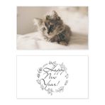 DIYthinker Animal Kitty Gri Kedi Fotoğrafı Yeni Yıl Kartı Anma Kutusuz Mesaj
