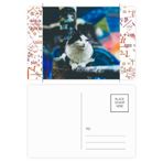 DIYthinker Animal Lazy Cat Fotoğraf Çekimi Formula Kartpostal Seti Teşekkür Kartı Gönderi Tarafı 20 adet
