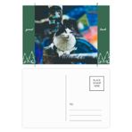 DIYthinker Animal Lazy Cat Fotoğraf Çekimi İyi Şanslar Kartpostal Seti Kart Gönderi Tarafı 20 adet