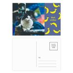 DIYthinker Animal Lazy Cat Fotoğraf Çekimi Muz Kartpostal Seti Teşekkür Kartı Gönderi Tarafı 20 adet