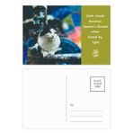 DIYthinker Animal Lazy Cat Fotoğraf Çekimi Şiir Kartpostal Seti Teşekkür Kartı Gönderi Tarafı 20 adet