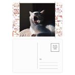 DIYthinker Animal Yawn Cat Fotoğraf Çekimi Formula Kartpostal Seti Teşekkür Kartı Gönderi Tarafı 20 adet