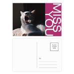 DIYthinker Animal Yawn Cat Fotoğraf Çekimi Miss Kartpostal Seti Teşekkür Kartı Gönderi Tarafı 20 adet