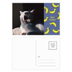 DIYthinker Animal Yawn Cat Fotoğraf Çekimi Muz Kartpostal Seti Teşekkür Kartı Gönderi Tarafı 20 adet