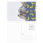 DIYthinker Animal Yawn Cat Simpol Shoot Banana Kartpostal Seti Teşekkür Kartı Gönderi Tarafı 20 adet