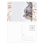 DIYthinker Animal Yawn Cat Simpol Shoot Formula Kartpostal Seti Teşekkür Kartı Gönderi Tarafı 20 adet