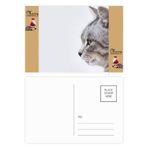 DIYthinker Animal Yawn Cat Simpol Shoot Noel Baba Hediye Kartpostal Teşekkür Kartı Gönderi 20 adet