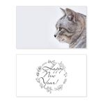 DIYthinker Animal Yawn Cat Simpol Shoot Yeni Yıl Kartı Anma Kutusuz Mesaj