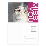 DIYthinker Beyaz Evcil Hayvan Kedi Hayvan Profili Sevimli Stare Miss Kartpostal Seti Teşekkür Kartı Gönderi Tarafı 20 adet