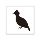 Dıythinker Black Grouse Hayvan Portrayal 15x15 cm Seramik Karo