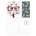 DIYthinker Bussiness Cat Head Protect Animal Pet Lover Muz Kartpostal Seti Teşekkür Kartı Gönderi Tarafı 20 adet