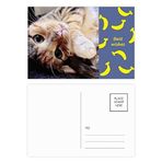 DIYthinker Çizgili Kitty Cat Relax Animal Sevimli Muz Kartpostal Seti Teşekkür Kartı Gönderi Tarafı 20 adet 14,5 cm x 9,7 cm Çok Renkli