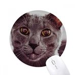 Dıythinker Hayvan Büyük Gözlü Gri Kedi Fotoğrafı Baskılı Yuvarlak Kaymaz Kauçuk Mouse Pad