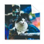 DIYthinker Hayvan Tembel Kedi Fotoğraf Çekim Gözlükleri Bez Temizleme Bezi Telefon Ekran Temizleyici 5 adet Hediye