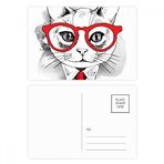 DIYthinker İş Kedi Kafası Koruyucu Hayvan Hayvan Sevgili Kartpostal Seti Doğum Günü Teşekkür Kartı Gönderi Tarafı 20 adet 14,5 cm x 9,7 cm Çok Renkli