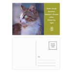 DIYthinker Kahverengi Kedi Hayvan Profili Vahşi Saha Şiir Kartpostal Seti Teşekkür Kartı Gönderi Tarafı 20 adet