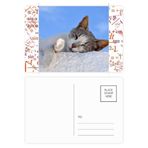 DIYthinker Kitty Cat Pet Relax Sleep Animal Sevimli Formula Kartpostal Seti Teşekkür Kartı Gönderi Tarafı 20 adet